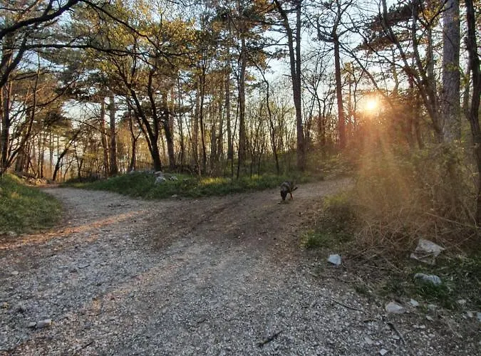 Bed & Breakfast Le Casite