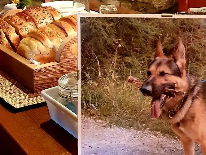 Le Casite Bed & Breakfast Trieste