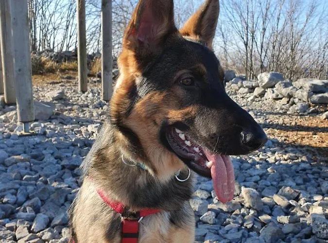 Le Casite 3* Trieste